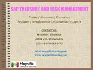 sap trm online training (1)