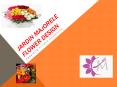 Jardin Majorele Flower Design PowerPoint PPT Presentation