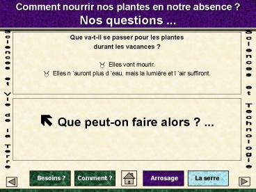 Comment nourrir nos plantes en notre absence ? Nos questions ...