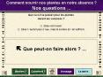 Comment nourrir nos plantes en notre absence ? Nos questions ... PowerPoint PPT Presentation