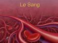 Le Sang PowerPoint PPT Presentation
