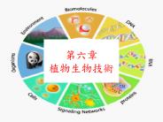 ??????????????(progagation)???????????????????????????DNA???????DNA????(transform)????????????????????????????????????????????????,???????????????