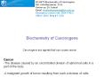 Biochemistry of Carcinogens PowerPoint PPT Presentation