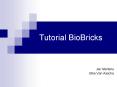 Tutorial BioBricks PowerPoint PPT Presentation