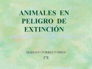ANIMALES EN    PELIGRO DE EXTINCI