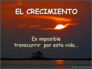 AG2- El crecimiento