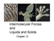 Intermolecular Forces and