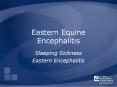 Eastern%20Equine%20Encephalitis PowerPoint PPT Presentation