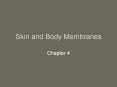 Skin and Body Membranes PowerPoint PPT Presentation