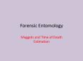 Forensic Entomology PowerPoint PPT Presentation