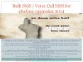 Bulk SMS | Voice Call SMS for election campaign 2014 PowerPoint PPT Presentation