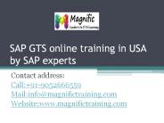 sap gts online training in USA by SAP experts