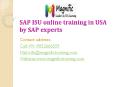 sap isu online training in uSA by SAP experts