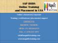 SAP BODS online training and placement in USA PowerPoint PPT Presentation