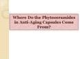 Where Do the Phytoceramides in Anti-Aging Capsules Come From? PowerPoint PPT Presentation