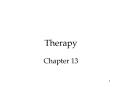 Therapy Chapter 13 PowerPoint PPT Presentation