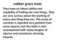 rubber grass mats PowerPoint PPT Presentation