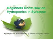 Beginners Know How on Hydroponics in Syracuse