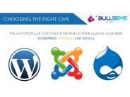 CHOOSING THE RIGHT CMS