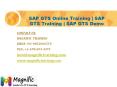 SAP GTS Online Training | SAP GTS Training | SAP GTS Demo PowerPoint PPT Presentation