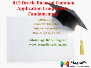 R12 Oracle financial Common Application Components Fundamentals