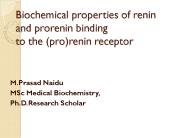Biochemical properties of renin and prorenin binding