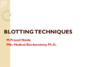 BLOTTING TECHNIQUES