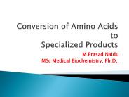 Amino acids Derivatives