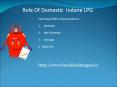Role Of Domestic LPG PowerPoint PPT Presentation