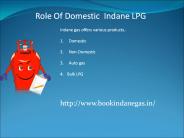 Role Of Domestic LPG