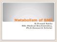 BMR of Metabolism PowerPoint PPT Presentation
