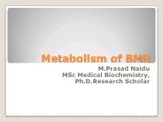 BMR of Metabolism