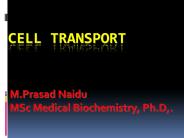 cell transport