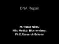 DNA Repair PowerPoint PPT Presentation
