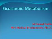 Ecosinoid Metabolism