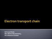 Electron transport chain