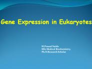 Gene Expression in Eukaryotes