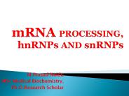 hnRNA Processing