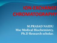 IRON EXCHANGE
