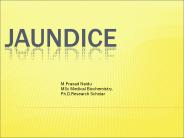 JAUNDICE