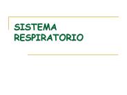 SISTEMA RESPIRATORIO