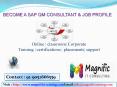 sap qm online training in india PowerPoint PPT Presentation