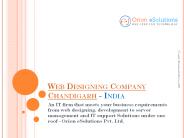 Web designing company Chandigarh India (1)