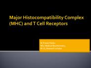 MHC and TCR