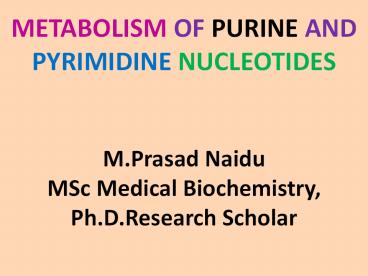 Metabolism of nucleotides