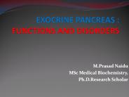 Pancreas function