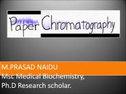 Paper Chromatography