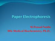 Paper Electrophoresis