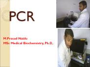 PCR