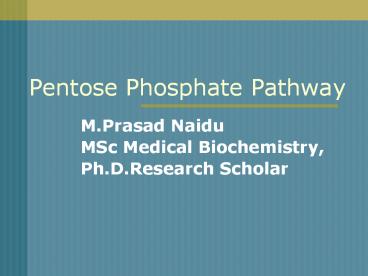 Pentose Phosphate Pathway